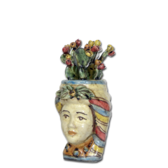 Testa di Moro Donna