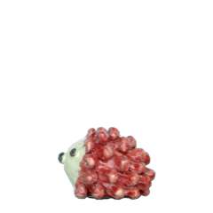 Riccio