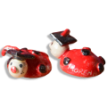 Coccinella Laureata