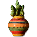 Fichi d'India