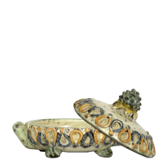 Tartaruga portagioie