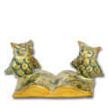 Doppia Civetta con libro