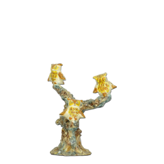 Civetta