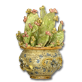 Fichi d'India