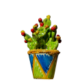 Cachepot fichi d'india 